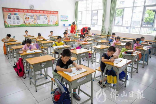 媒體聚焦 高明推動(dòng) 雙減 政策落地,讓教育回歸本質(zhì)
