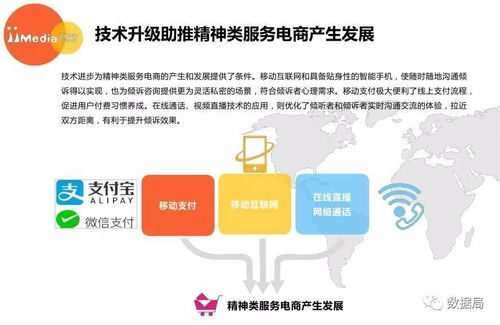 艾媒咨詢 2017上半年中國精神類服務電商市場研究報告