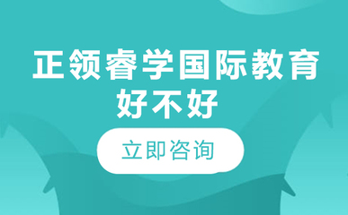 北京正領睿學國際教育
