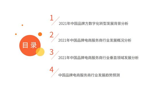 艾媒咨詢 2021年中國品牌電商服務商行業研究報告