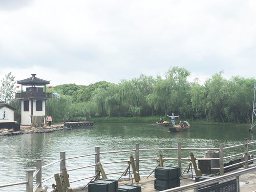 學黨史,守初心,擔使命 醫學與公共服務學院直屬黨支部開展黨史學習教育沉浸式主題黨日活動